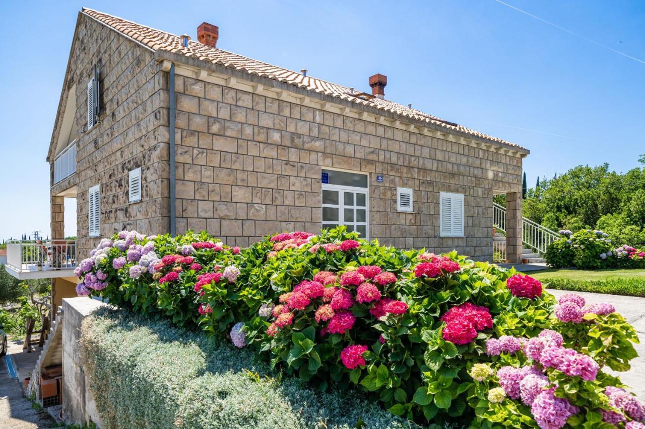 Apartments Amalija Čilipi Dış mekan fotoğraf